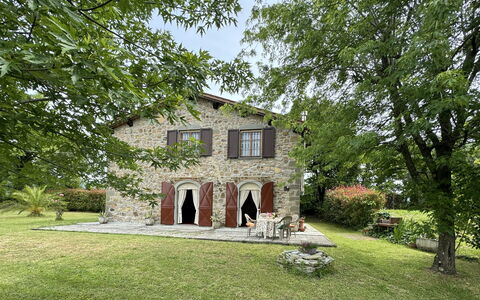 Pinocchio: Plante, Bygning, Vindue, Træ, Land Lot, Hus, Græs, Himmel, Sommerhus, Landskab