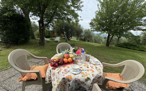 Pinocchio: Bord, Plante, Møbel, Ejendom, Stol, Udendørs Bord, Bordservice, Træ, Udendørs Møbler, Naturlige Landskab