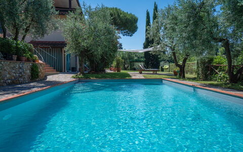 Chianti Hills Apartment, Pool, Ac: Vand, Plante, Ejendom, Azure, Natur, Blå, Himmel, Svømmepøl, Træ, Græs