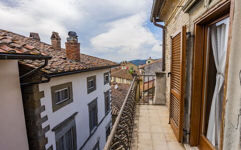 Rose's Palace: Himmel, Sky, Vindue, Bygning, Azure, Træ, Vejbelægning, Gulvbelægning, Boligområde