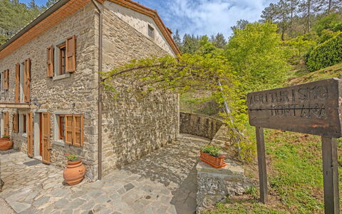 La Montana: Plante, Bygning, Sky, Ejendom, Himmel, Træ, Vindue, Land Lot, Hus, Mursten