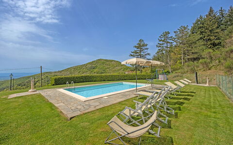 La Montanina: Himmel, Vand, Plante, Sky, Naturlige Landskab, Svømmepøl, Træ, Udendørs Møbler, Land Lot, Skygge