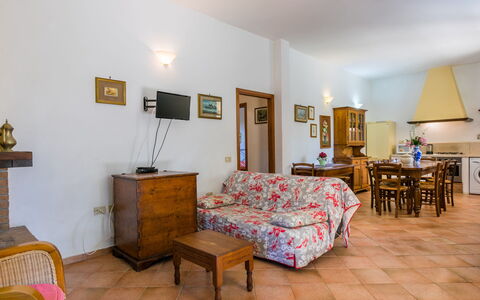 Oliveta 1