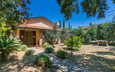 Oliveta 1