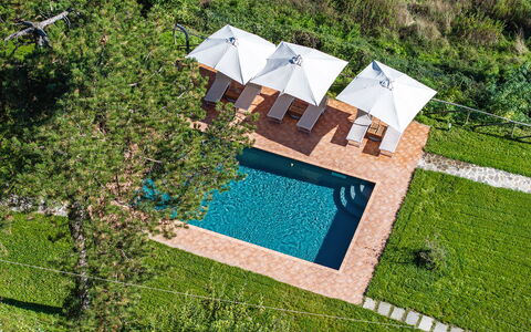 Villa Chicco: Bygning, Vand, Land Lot, Urban Design, Arkitektur, Vegetationen, Græs, Fritid, Landskab, Boligområde