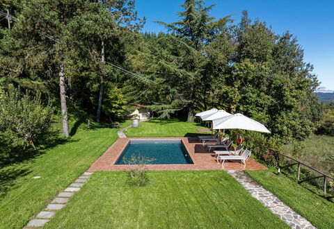 Villa Chicco: Plante, Himmel, Paraply, Botanik, Træ, Skygge, Land Lot, Græs, Svømmepøl, Fritid