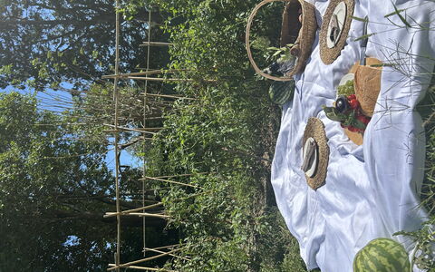 Borgo Dolciano: Have, Fremstille, Frugt, Naturlige Fødevarer, Landbrug