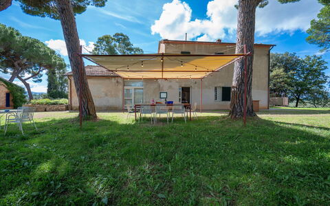 Poggetti San Luigi Country Home Follonica: Sky, Himmel, Plante, Bygning, Træ, Natur, Vindue, Hus, Land Lot, Vegetationen