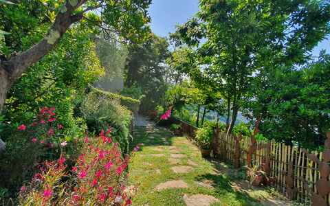 La Casa Sul Forte: Blomst, Grøn, Natur, Vegetationen, Busk, Have, Forår, Kronblad, Botanisk Have