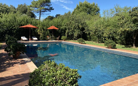 Villa Bongi: Svømmepøl, Udvej, Skygge, Have, Water Feature, Fritid, Eco Hotel, Udendørs Møbler, Hacienda, Landscaping