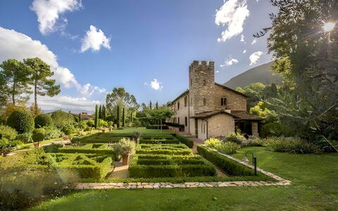 Villa Bongi: Have, Busk, Landscaping, Botanisk Have, Lawn, Gård, Backyard, Estate, Parkere