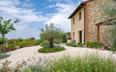 Punteriolo Spereto Family Apartment With Pool,: Blomst, Busk, Have, Bunddække, Landscaping, Urteagtig Plante, Botanisk Have, Backyard, Gård