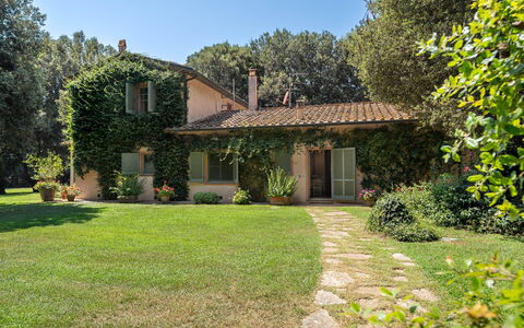 Casale Rosa: Træ, Blad, Græs, Hus, Afdeling, Hjem, Vegetationen, Busk, Sommerhus