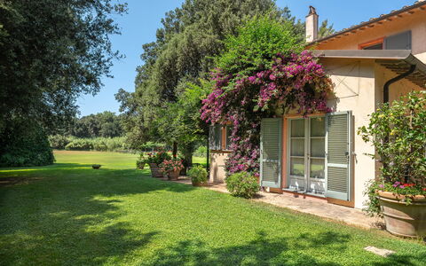 Casale Rosa: Busk, Have, Hus, Hjem, Plantesamfund, Land Lot, Bunddække, Lawn, Forår