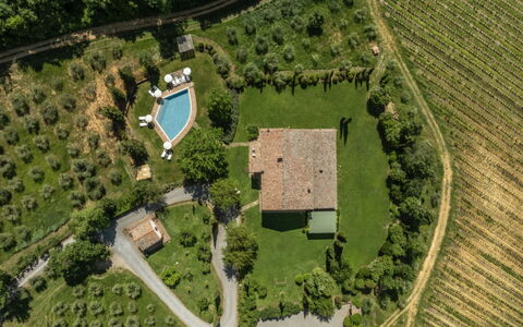 Podere Monti: Landskab, Land Lot, Landdistrikt, Almindeligt, Estate, Have, Plantation, Lawn, Landscaping, Fugleperspektiv