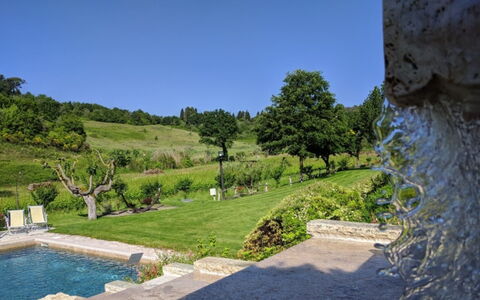 Podere della Bruciata: Busk, Have, Landscaping, Backyard, Svømmepøl, Botanisk Have, Plantation, Water Feature, Evergreen