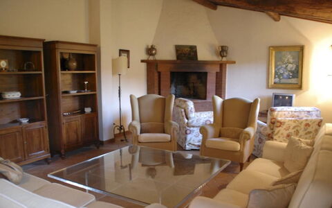 Magnolia e Camelia: Møbel, Indretning, Gulvbelægning, Træ, Værelse, Etage, Stue, Bord, Stol, Couch