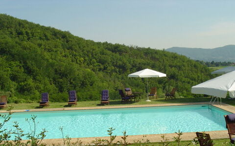 Magnolia e Camelia: Svømmepøl, Udendørs Møbler, Fritid, Udvej, Eco Hotel, Hill Station, Liggestol, Ferieby, Paraply, Landscaping