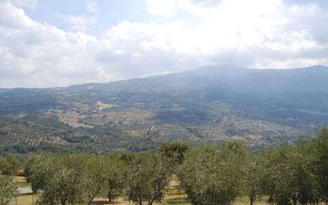 Poggio Aperto: Bjergrige Landskabsformer, Bjerg, Bakke, Vegetationen, Highland, Naturlige Landskab, Økoregion, Landskab, Hill Station, Plantesamfund