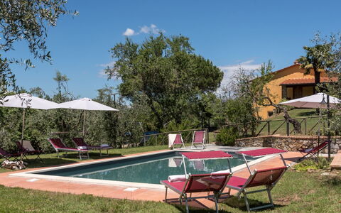 Bellaria: Estate, Hacienda, Backyard, Udendørs Møbler, Villa, Have, Stuehus, Gård, Svømmepøl, Landscaping