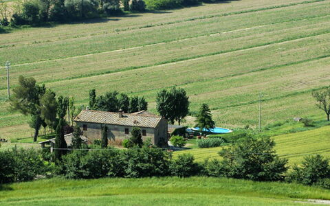 Casalunga: Græs, Græs-, Hus, Almindeligt, Landdistrikt, Land Lot, Landskab, Sommerhus, Menneskelig Bosættelse
