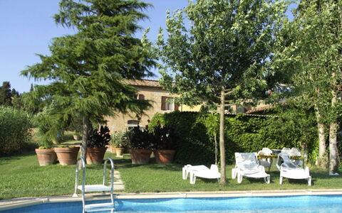 Casalunga: Svømmepøl, Busk, Have, Udendørs Møbler, Backyard, Landscaping, Skygge, Eco Hotel, Hacienda