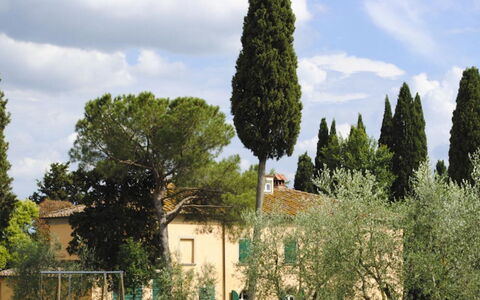 Villa Il Poggio: Træ, Blad, Afdeling, Vedplante, Evergreen, Landscaping, Pine Family