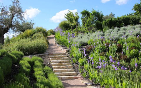 Villa del Cammino: Vegetationen, Busk, Have, Landskab, Plantesamfund, Bunddække, Forår, Botanisk Have, Sti