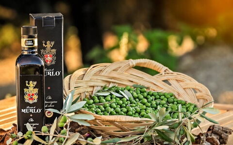 Villa Santa: Flaske, Vin, Glas Flaske, Mad, Fremstille, Naturlige Fødevarer