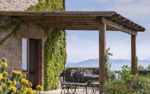 Villa Santa: Busk, Udendørs Møbler, Land Lot, Have, Blomsterkrukke, Altan, Skygge, Landscaping, Udendørs Bord