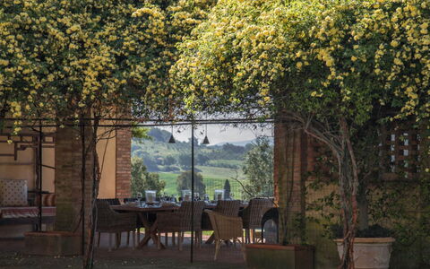 Villa Moscato: Have, Skygge, Stueplante, Backyard, Blomsterkrukke