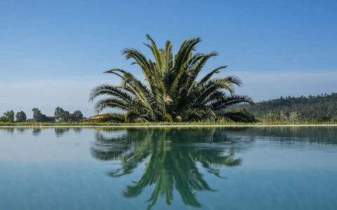 Villa Moscato: Blå, Vand, Krop Af Vand, Afspejling, Sø, Svømmepøl, Reservoir, Tropics, Reflekterende Pool