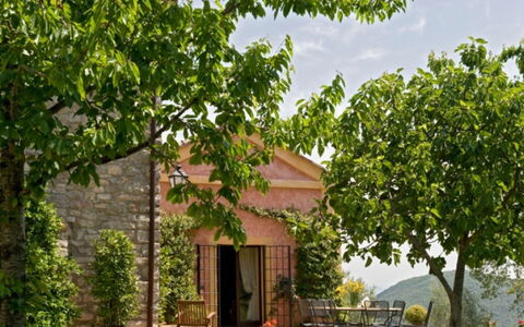 Villa Savino: Blad, Busk, Forår, Have, Skygge, Plantation