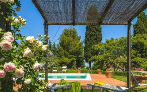 Podere Contignano: Busk, Have, Forår, Landscaping, Skygge, Backyard, Gård, Eco Hotel, Hacienda, Botanisk Have