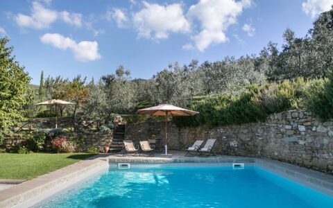 Villa Bel Monte: Svømmepøl, Blå, Udvej, Udendørs Møbler, Eco Hotel, Have, Landscaping, Skygge, Water Feature, Backyard