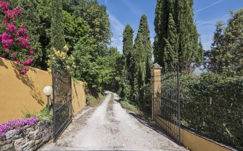 Villa Lucente: Blad, Vegetationen, Busk, Have, Landscaping, Indkørsel, Evergreen, Sti, Lærk