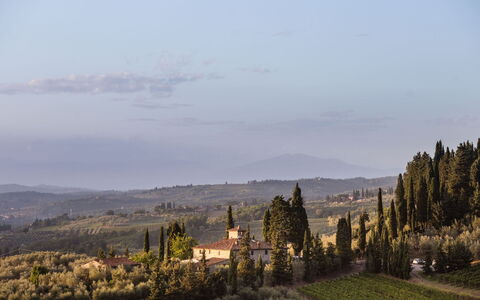 Agatea: Landskab, Aften, Lærk, Shrubland, Chaparral, Evergreen, Pine Family