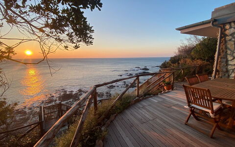 Vistamare: Vand, Krop Af Vand, Horisont, Træ, Kyst, Coastal Og Oceaniske Landskabsformer, Hav, Skumring, Ocean, Kyst