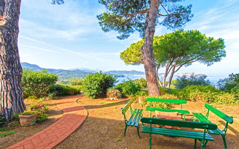 Villa Magazzini: Blå, Busk, Landskab, Have, Forår, Landscaping, Botanisk Have, Skygge, Parkere, Walkway