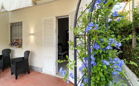 Casa Liliana Ac, Wifi, Forte Dei Marmi: Blomsterkrukke, Stueplante, Skygge, Udendørs Møbler, Stol, Home Dør, Veranda, Udendørs Bord, Altan, Gårdsplads