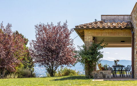 Il Pino Apartment: Naturlige Landskab, Busk, Bakke, Land Lot, Eng, Have, Dal, Landscaping, Kam