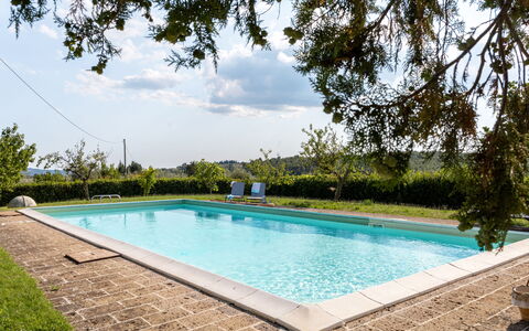 Il Pino Apartment: Svømmepøl, Kompositmateriale, Udvej, Have, Skygge, Water Feature, Landscaping, Eco Hotel, Udendørs Møbler, Backyard