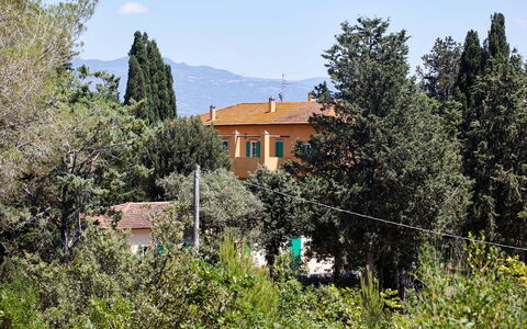 Poggio Cavallino Private Pool, Wifi, Maremma: Træ, Blad, Busk, Hjem, Lærk, Evergreen, Pine Family