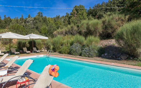 Villa Belvedere: Svømmepøl, Udvej, Udendørs Møbler, Liggestol, Eco Hotel, Landscaping, Thermae, Hotel, Hacienda, Chaiselong