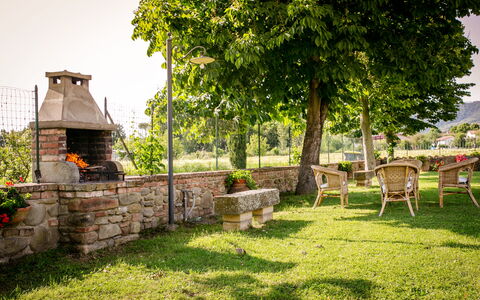 Villa Gelsi: Have, Lawn, Skygge, Udendørs Møbler, Gård, Landscaping, Backyard, Parkere, Stol, Eco Hotel