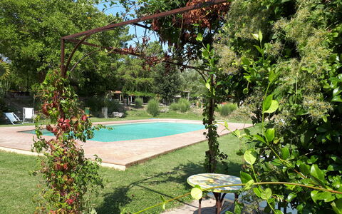 Appartamento Vele, Wifi, Near Perugia: Busk, Have, Skygge, Forår, Backyard, Gård, Lawn, Landscaping, Blomsterkrukke