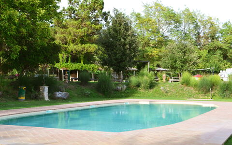 Appartamento Scuderia Del Borgo, Wifi, Perugia: Svømmepøl, Træ, Udvej, Skygge, Have, Udendørs Møbler, Fritid, Backyard, Landscaping, Water Feature