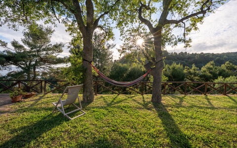 Villa Argentina: Afdeling, Træ, Møbel, Landskab, Bagagerum, Sollys, Skygge, Have, Udendørs Møbler, Kvist