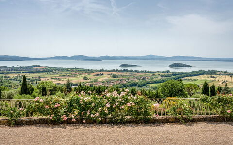 Villa Domus Papi: Landskab, Busk, Plantation