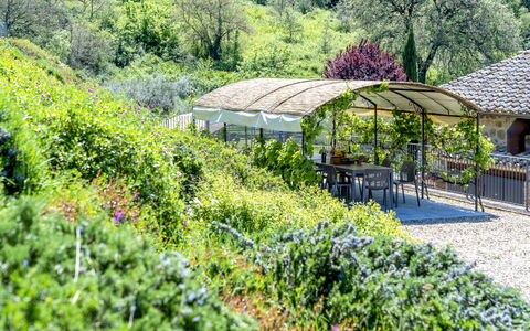 Villa Trasimena: Vegetationen, Busk, Have, Landskab, Plantesamfund, Bunddække, Forår, Landscaping, Botanisk Have